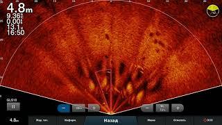 Сазаны на Лайвскопе ...видно зачетно!  Garmin LiveScope