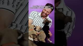 Ranking Pawwsome Celebrity Puppy Moments #iconicmoments #popculturemoments #ranking #funny #celebs
