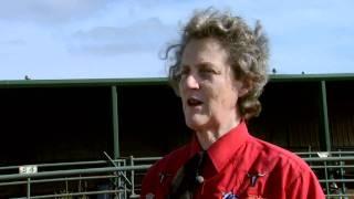 Animal Behavior with Temple Grandin - Part 1