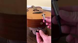 ES-Go Pickup INSTALL - Taylor GS mini #short