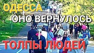 14 октября  Одесса.Оно вернулось.Что происходит ?Комета  Аркадия -Соборка  Это надо видеть