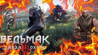 Лучший билд для брони Школы Змеи в Ведьмак 3 ► Для Новой Игры +