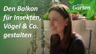 Den Balkon für Insekten, Vögel und Co. gestalten | MDR Garten