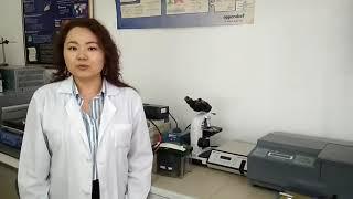 Выступление выпускников кафедры. День выпускника 2020. Куанбай Айгерим
