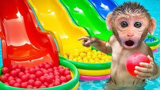 Bebe Macacos BonBon Brincando no Tobogã Colorido na Piscina nos Fundos de Casa - BonBon em português