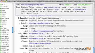 Video of #OpTunisia : a year ago... Recored from #Anonymous IRC on Jan 2nd 2011 #Sidibouzi