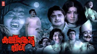 Kalliyankattu Neeli (1979) Malayalam Horror Full Movie | Madhu | Jayabharathi | Malayalam Old Movies