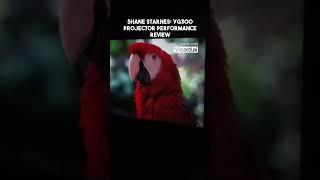 Shane Starnes  YG300 Projector WWW.TESKEI.STORE