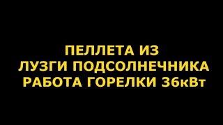 Пеллета из лузги подсолнечника  Работа горелки 36 кВт