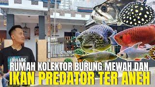 SIDAK ! RUMAH KOLEKTOR HEWAN TERANEH DI BUMI DAN BURUNG MEWAH DI BEKASI ! PECANDU PREDATOR