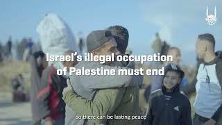 500 Days of Suffering in Gaza | Palestine Emergency Appeal | Islamic Relief Worldwide