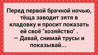 Теща Завела Зятя в Кладовку! Сборник Свежих Анекдотов! Юмор!