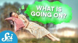 What Are We Really Doing While We Sleep | Compilation