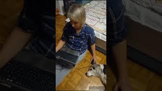 Фантазёр
