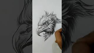 Golden Eagle Pencil Drawing #shorts