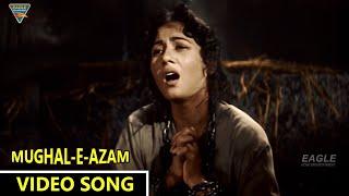 Beqas Pe Karam Kijiye Video Song || Mughal E Azam Bollywood Classic Songs || Eagle Mini