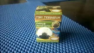 Tiny Terrarium - Fishhook Barrel Cactus