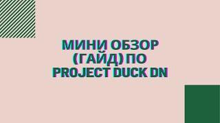 МИНИ ОБЗОР (ГАЙД) ПО PROJECT DUCK DN