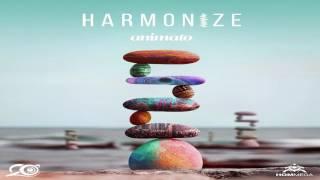 Animato - Harmonize (Continuous Mix) ᴴᴰ