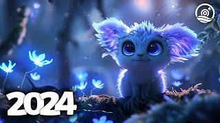 Music Mix 2024  EDM Mixes of Popular Songs  EDM Bass Boosted Music Mix #182