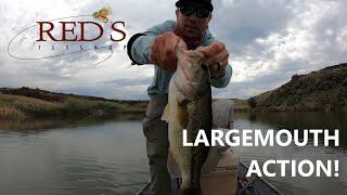 How to Fly Fish for Largemouth Subsurface // Fly Fishing for Bass