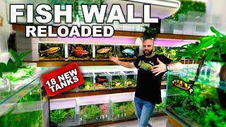 BUILDING 18 TANKS IN 2 DAYS | FISH WALL REVAMP