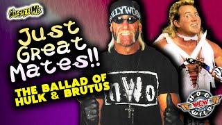 HOGAN & BEEFCAKE's Incredibly Friendly Friendship | WCW Hog Wild 1996  - Wrestle Me Review