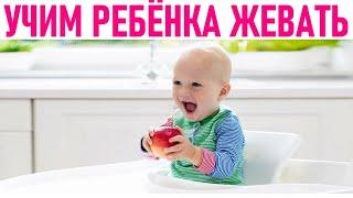 ТВЕРДАЯ ПИЩА ДЛЯ МАЛЫША | Как научить ребенка жевать твердую пищу