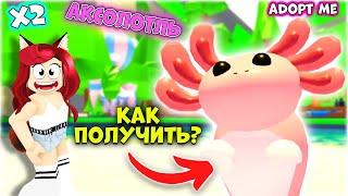 Как ПОЛУЧИТЬ НОВОГО ПЕТА в Адопт Ми Роблокс *Аксолотль* Обнова Adopt Me Roblox | ФОКСИ