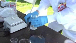 Young Scientist Demonstrates Amateur Chemistry