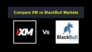 Compare XM with BlackBull Markets - Which is better? Which broker to choose?