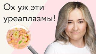 Нужно ли лечить уреаплазмы и микоплазмы?