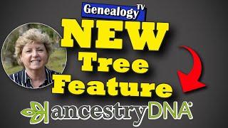 New AncestryDNA Tree Feature