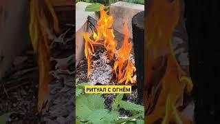 РИТУАЛ С ОГНЕМ ОЧИЩЕНИЯ ОТ ПРОШЛОГО И ВСЕГО  НЕНУЖНОГО  #ритуал #ритуалы #огонь #жизнь #феникс #топ