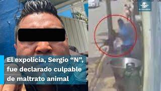 Declaran culpable a Sergio “N”, quien arrojó a "Scooby" en cazo con aceite hirviendo