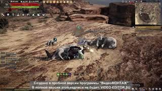 Black Desert Сбор 12 к мяса льва Новичок\gathering lion meat newbie BDO