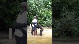 Chimpanzees Hug Caretakers on Chimpanzee Island in Liberia