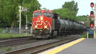 CN Train 368 Eastbound June 5, 2023
