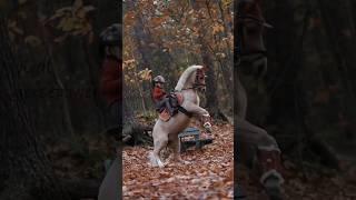 ponies have so much sass️ #youtube #horse #edit #equestrian #fail #shorts #shortvideos #funny