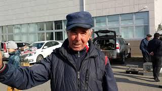 (2 серия) Продажа голубей в Ставрополе. Бруснёвский рынок. (17.10.2021)