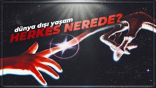 Koskoca Evrende Yalnız Olmak | Herkes Nerede?