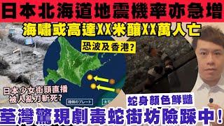 日本北海道巨大地震機率同急升？海嘯或高達XX米？荃灣驚現劇毒蛇周街走？11-3-2025