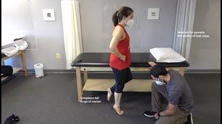 Manual Muscle Test for Ankle Plantarflexion