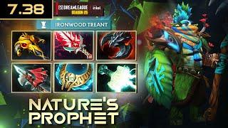 [CARRY] YATORO / RADDAN NATURE'S PROPHET 7.38 DREAMLEAGUE SEASON 25 | #Dota2 #4K