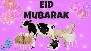 Eid Ul adha 2020 | Eid Mubarak Status | Bakra Eid Mubarak |Eid Ul Azha Status | Eid 2020 |Eid Status