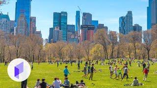 U.S. City Planning 101