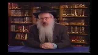 The 7 Noahide Laws with Rabbi Manis Friedman