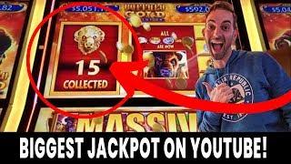  BIGGEST Buffalo Gold Revolution JACKPOT on YouTube!  15 Gold Buffalo caught LIVE!