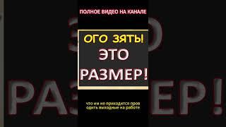 Зятёк порадовал перспективами...Интересные истории из жизни. Аудиорассказ