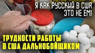 ТРУДНОСТИ работы в США дальнобойщиком/ Суровая зима и кошмарная еда в Америке! Дальнобой по США